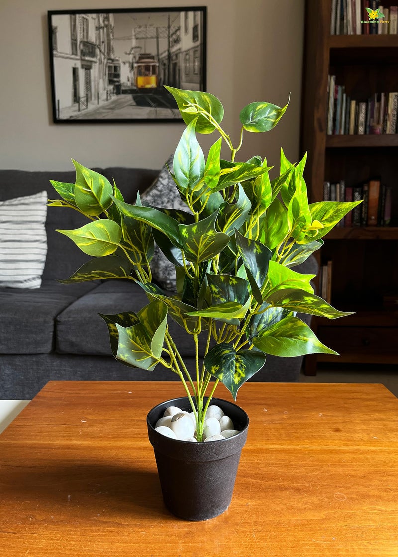 Blooming Floret Artificial Golden Pothos 48.3 cm Short for Interior Decor/Home Decor/Office Decor/Gifting | with Basic Black Pot | Ornamental Plant | Natural Looking | Durable - Image 1