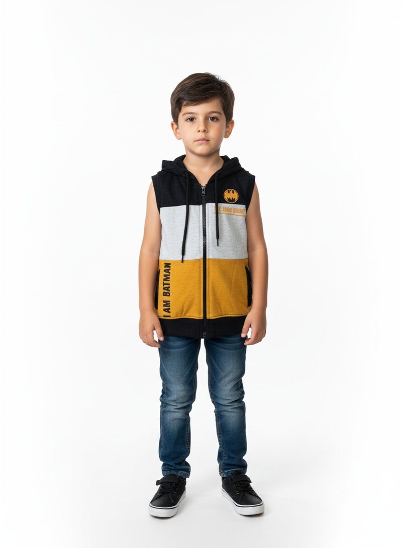 general VEST BOYS BATMAN PRINT WITH ZIPPER 2-8 YRS  HT - Image 3