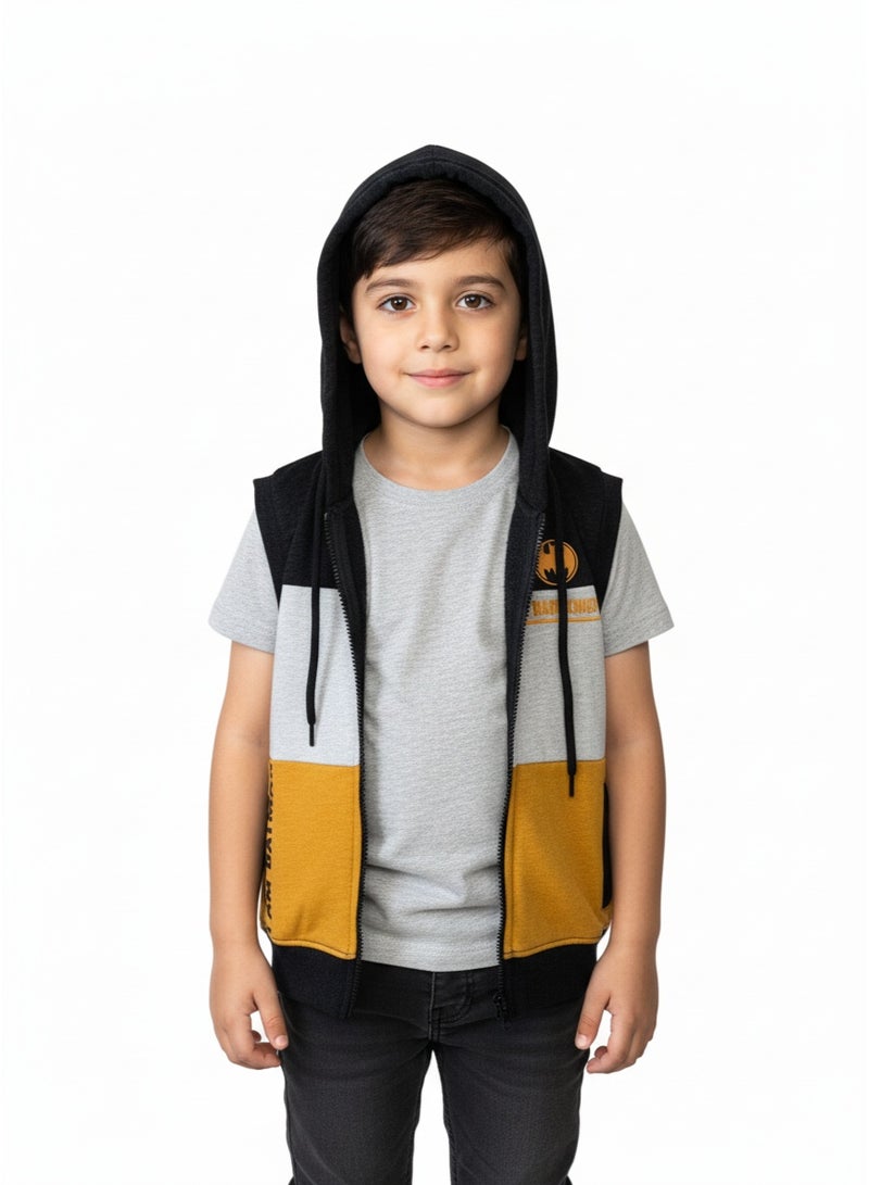 general VEST BOYS BATMAN PRINT WITH ZIPPER 2-8 YRS  HT - Image 4