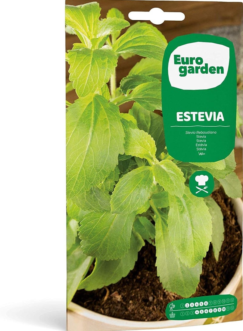 فيتو سيميلاس بذور ستيفيا - Image 1