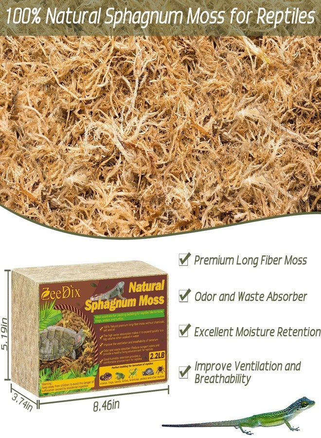 ZeeDix 2.2 LB Premium Sphagnum Moss for Reptiles, 50 QT Natural Reptile Moss for Terrarium, Dried Long Fibered Sphagnum Peat Moss Bedding for Leopard Gecko Frogs Anoles Snake Ball Python Turtle - Image 2