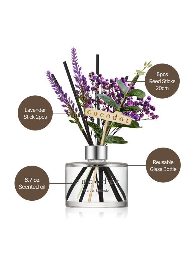 cocodor Lavender Reed Diffuser/Black Cherry / 6.7oz(200ml) / 1 Pack/Home Decor & Office Decor, Fragrance and Gifts - Image 3
