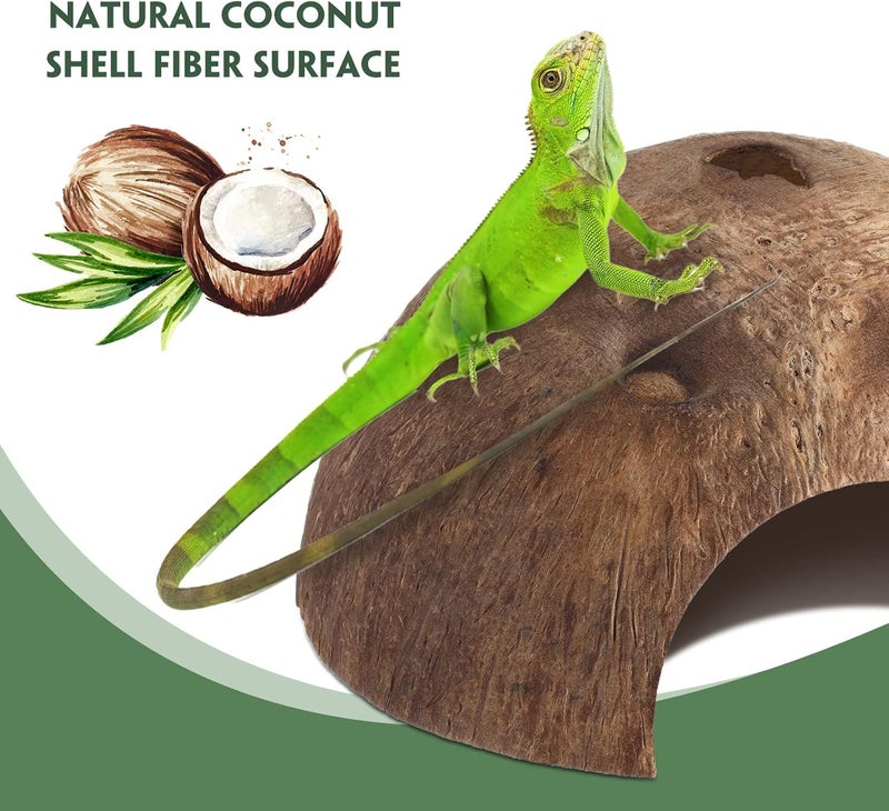 Woanger 6 Pcs Coconut Shell Reptile Hideouts  Hut Caves Hide Cave Hut for Leopard Gecko Snake Lizard Hermit Crab Supplies  - Image 3