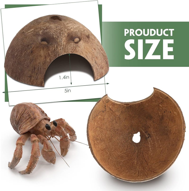 Woanger 6 Pcs Coconut Shell Reptile Hideouts  Hut Caves Hide Cave Hut for Leopard Gecko Snake Lizard Hermit Crab Supplies  - Image 2