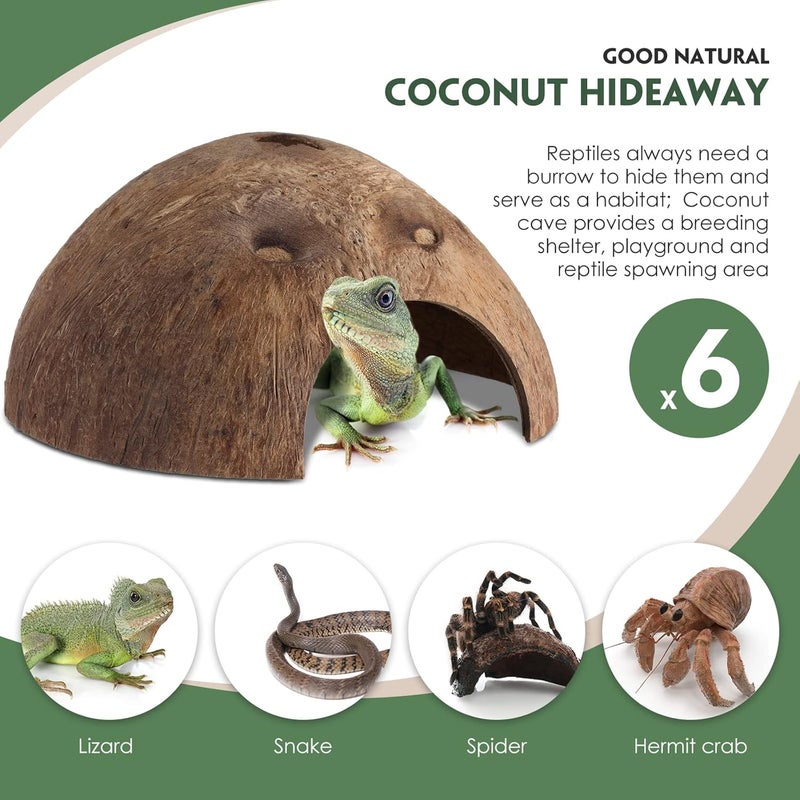 Woanger 6 Pcs Coconut Shell Reptile Hideouts  Hut Caves Hide Cave Hut for Leopard Gecko Snake Lizard Hermit Crab Supplies  - Image 4
