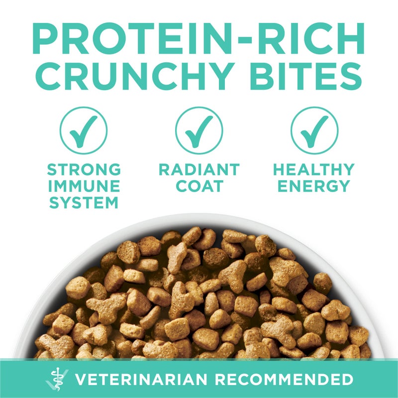 Purina ONE Sensitive Stomach, Sensitive Skin, Natural Dry Cat Food, +Plus Sensitive Skin and Stomach Formula - 16 lb. Bag - Image 2