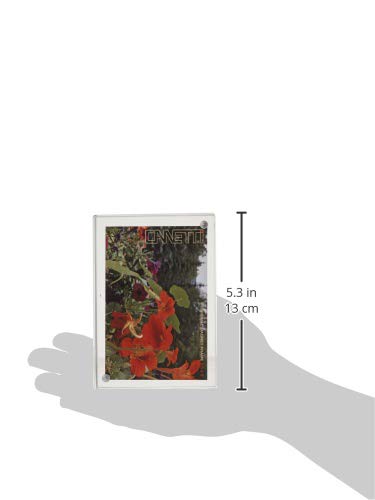 Canetti Original Magnet Frame 3.5x5 inch - Image 3