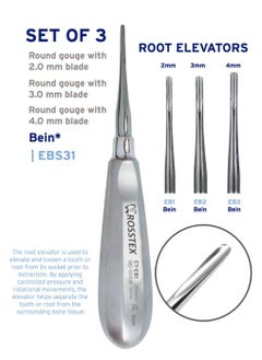 Dental Instruments Bein Round gouge Root Elevator Set of 3 Pcs