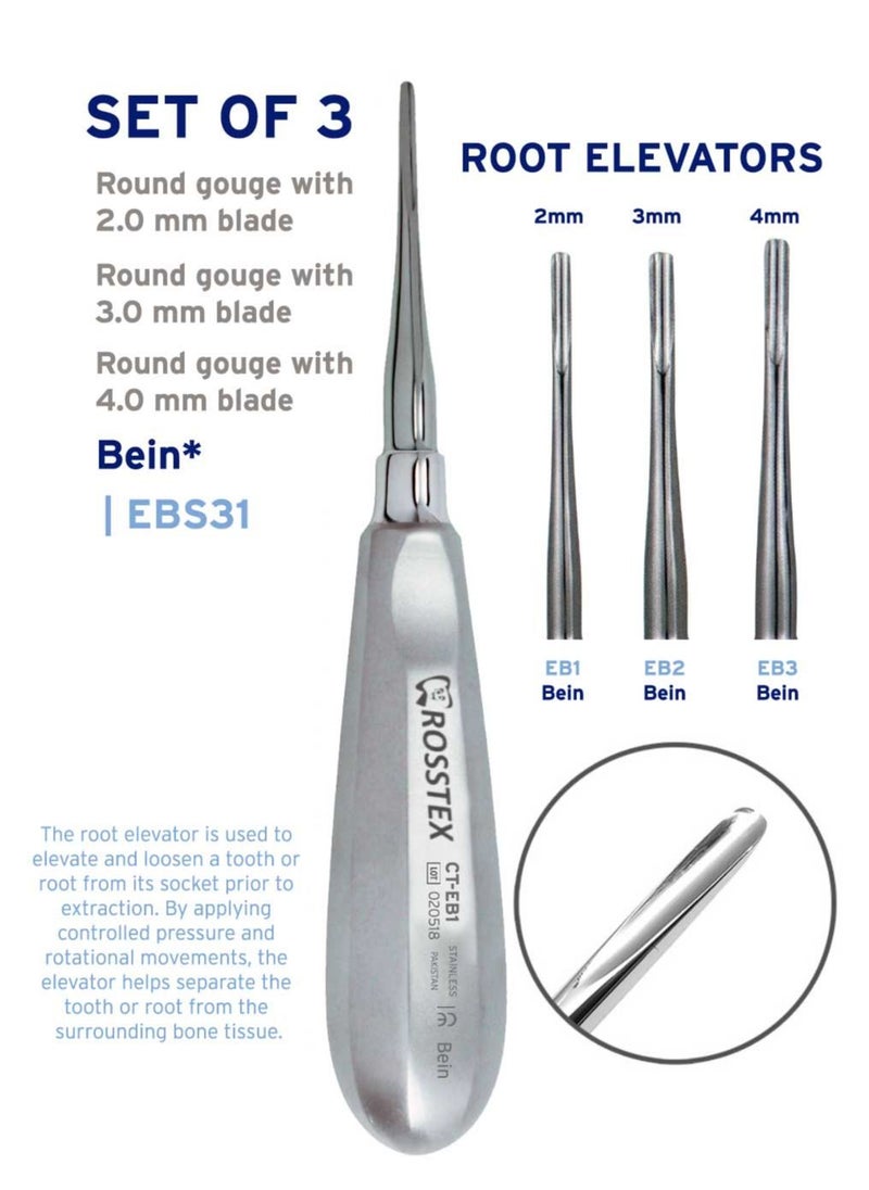 Crosstex - Dental Instruments Bein Round gouge Root Elevator Set of 3 Pcs - Image 1