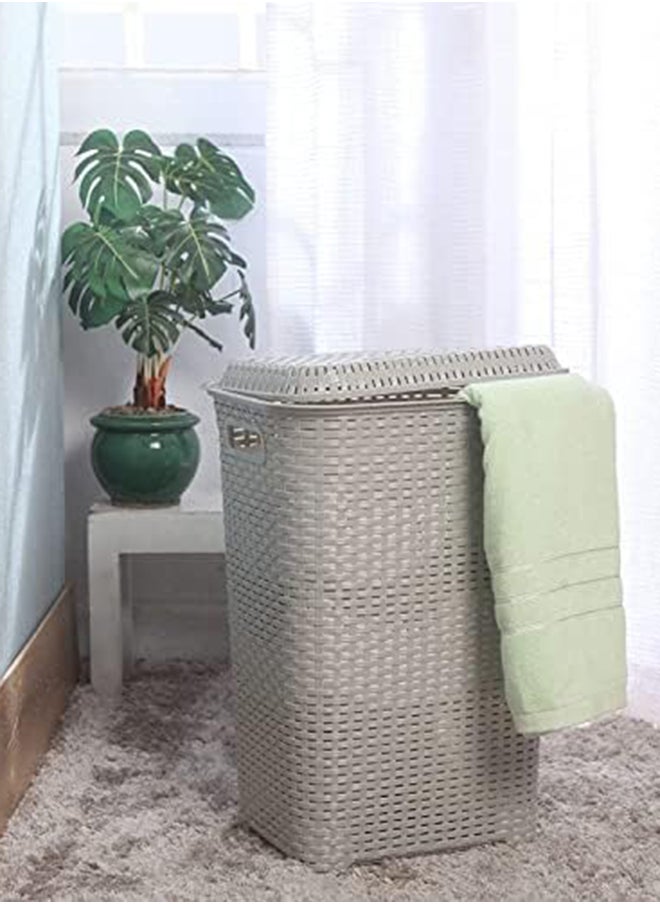 Cello - Cello Eliza Plastic Laundry Bag/Basket, 50 litres, Light Grey - Image 1