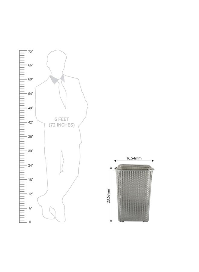 Cello - Cello Eliza Plastic Laundry Bag/Basket, 50 litres, Light Grey - Image 1