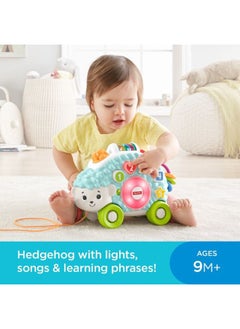 Fisher-Price Fp Linkimals - Sorting Hedgehog  - Image 3
