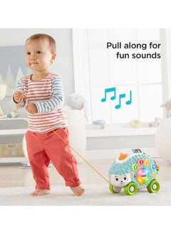 Fisher-Price Fp Linkimals - Sorting Hedgehog  - Image 5