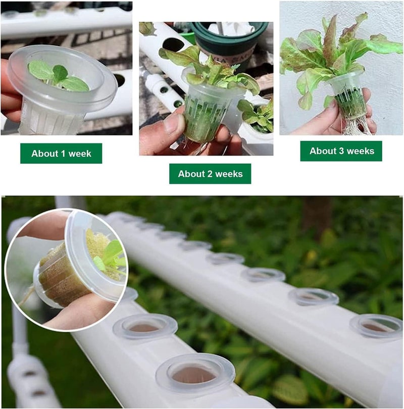 Meridian 36 Chalets Hydroponic Plant Growing Kit, 4 Tubes, 1 Layer, Horizontal Vegetable System - CT - Image 3