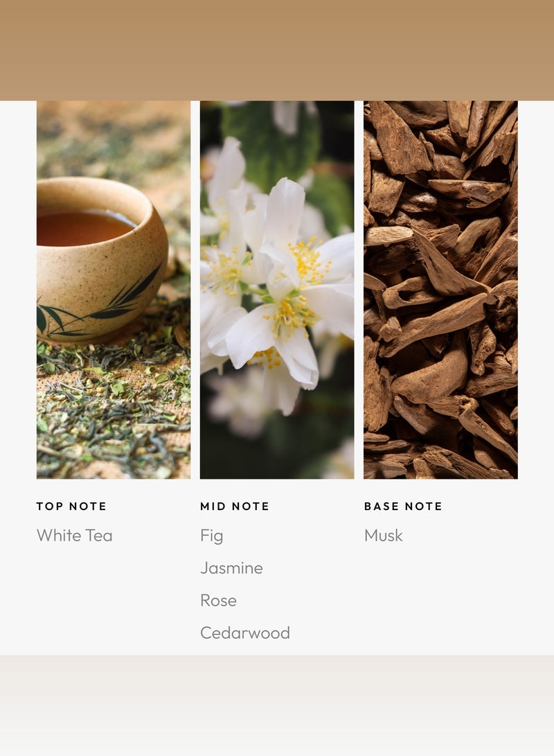 AROMA360 Graceland Pro-Pod Oil Blend - Hotel Inspired for Luxury Essential Oil Diffusers - Aromatherapy Scent Diffuser Oil - White Tea, Fig, and Rose  - Image 4