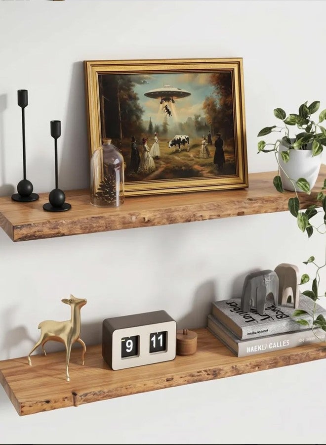 ARPEOTCY لوحة جدارية من قماش مؤطر بالذهب من ARPEOTCY، مقاس 12 × 16 بوصة، فن طريف من العصور الوسطى، ديكور على شكل طبق طائر، فن سريالي غريب الأطوار لغرفة المعيشة أو غرفة النوم أو الحمام، لوحة عتيقة لمشهد مزرعة فيكتورية - Image 4