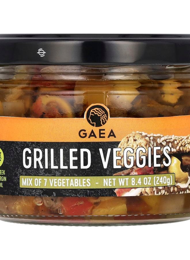 Grilled Veggies 8.4 oz (240 g) - pzsku/Z902B27916ABEC4EED915Z/45/_/1740571560/34c1416b-a784-4cbc-b24d-088425883433