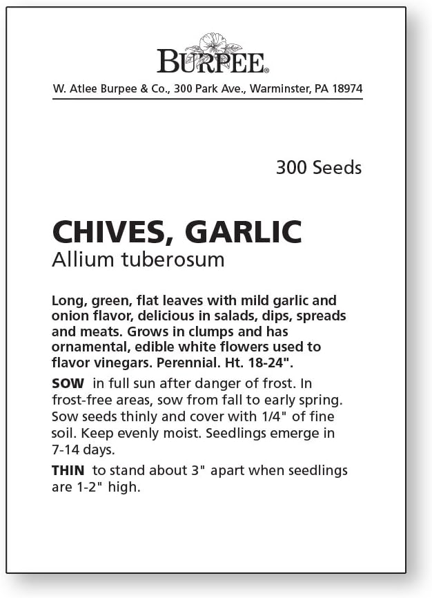 Burpee Garlic Chives Seeds 300 seeds - Image 2
