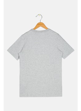Nike Nike x NBA Kids Boy Graphic Print Short Sleeve Outdoor T-Shirt, Grey  - Image 2