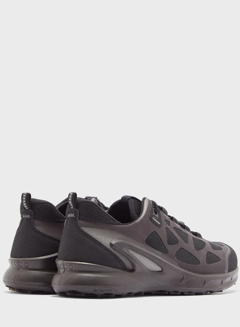 ECCO Biom Omniquest Sneakers