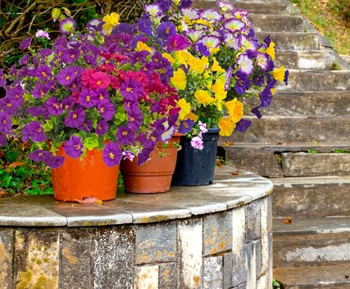 TSTWETO Artificial Faux Flowers for Outdoors, 12 Bundles Artificial Plants Outdoor UV Resistant, Fake Morning Glory Silk Flowers for Outside Planter Porch Patio Yard - Image 4