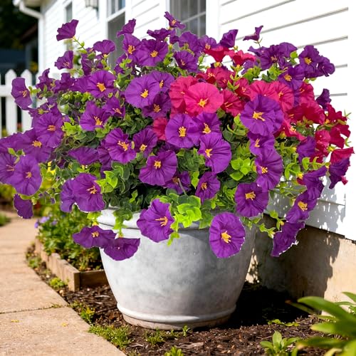 TSTWETO Artificial Faux Flowers for Outdoors, 12 Bundles Artificial Plants Outdoor UV Resistant, Fake Morning Glory Silk Flowers for Outside Planter Porch Patio Yard - Image 3