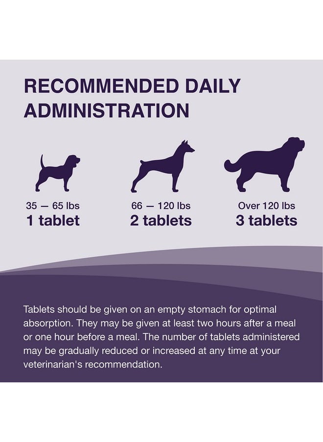 Nutramax Laboratories - Nutramax Laboratories Denamarin Liver Health Supplement for Large Dogs - With S-Adenosylmethionine (SAMe) and Silybin, 30 Tablets(Pack of 1) - Image 1