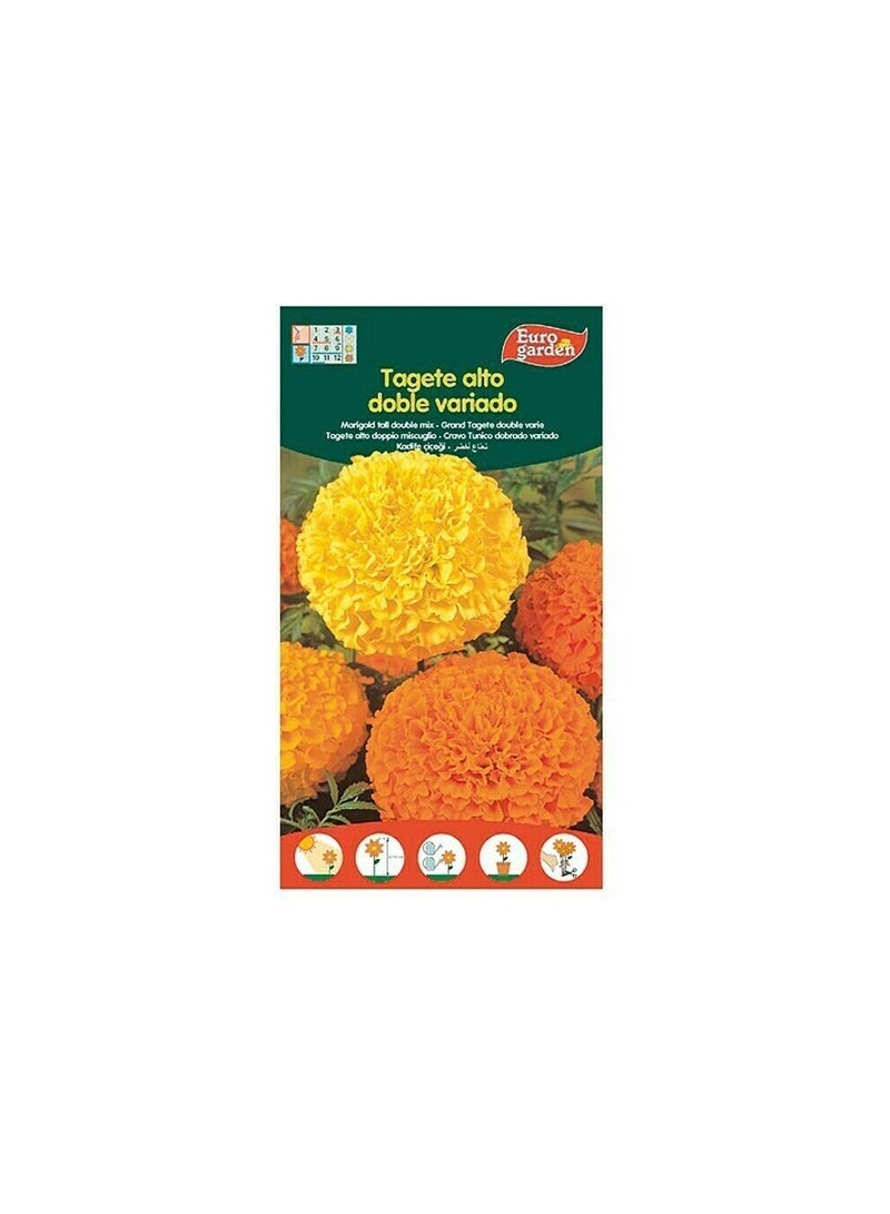 KNP EG Mari Gold tall Double Mix Seeds