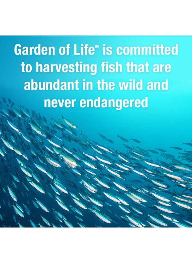 Garden of Life - O3, Oceans Mom, Prenatal Dha 30 Caps - Image 1