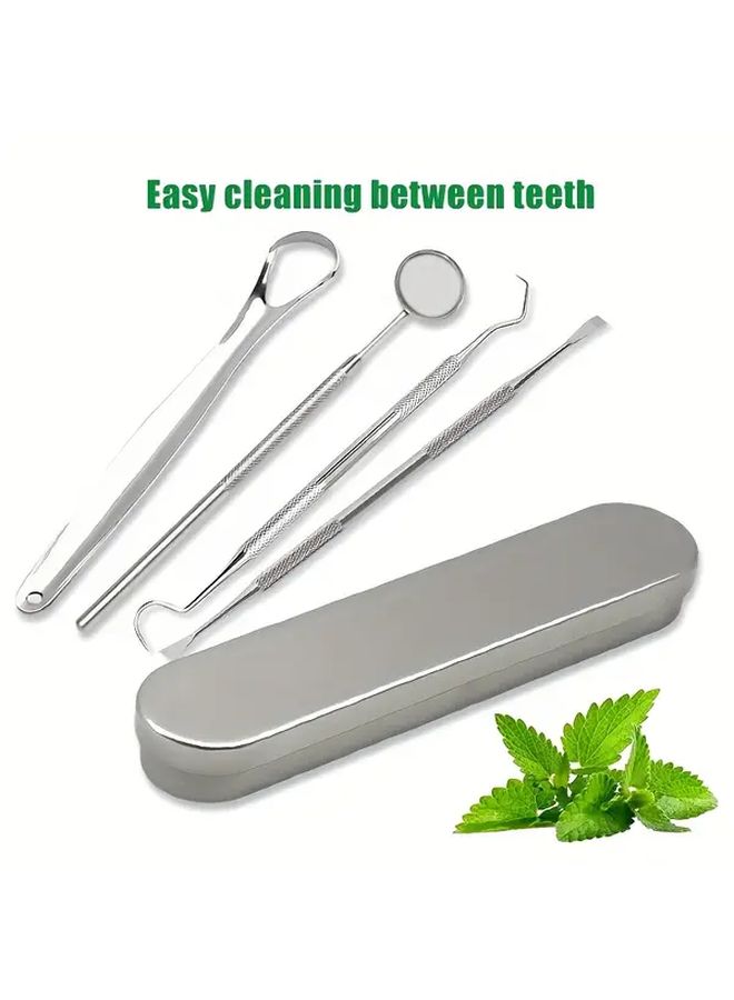 4pcs Stainless Steel Portable Toothpick Set With Teeth Cleaning Tools And Storage Box - Image 1
