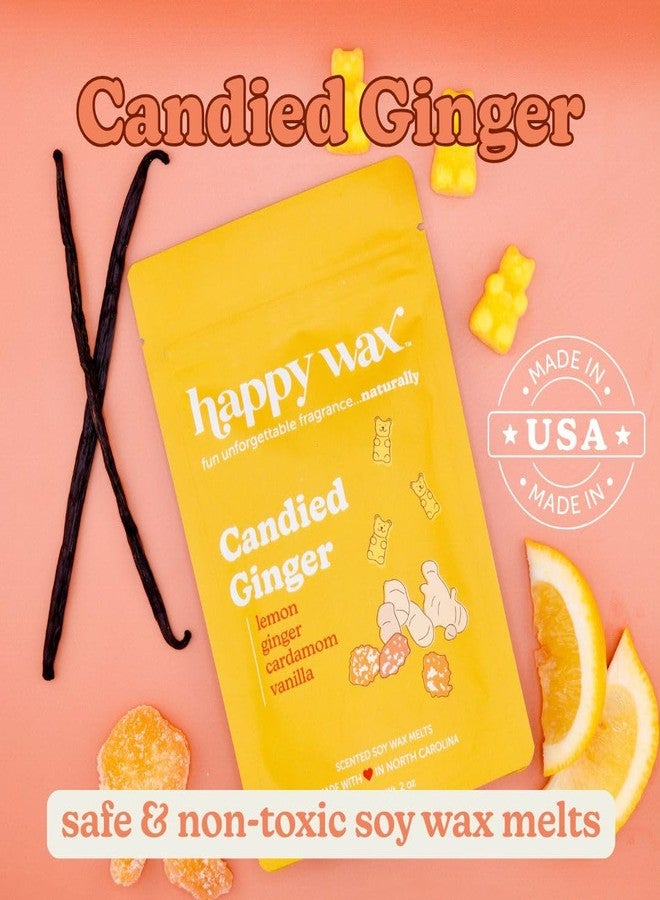Happy Wax Fall Treats Collection Scented Natural Soy Wax Melts - 6 Total Oz. Collection Includes Spiced Plum, Candied Ginger and Honeycomb & Amber - Image 5