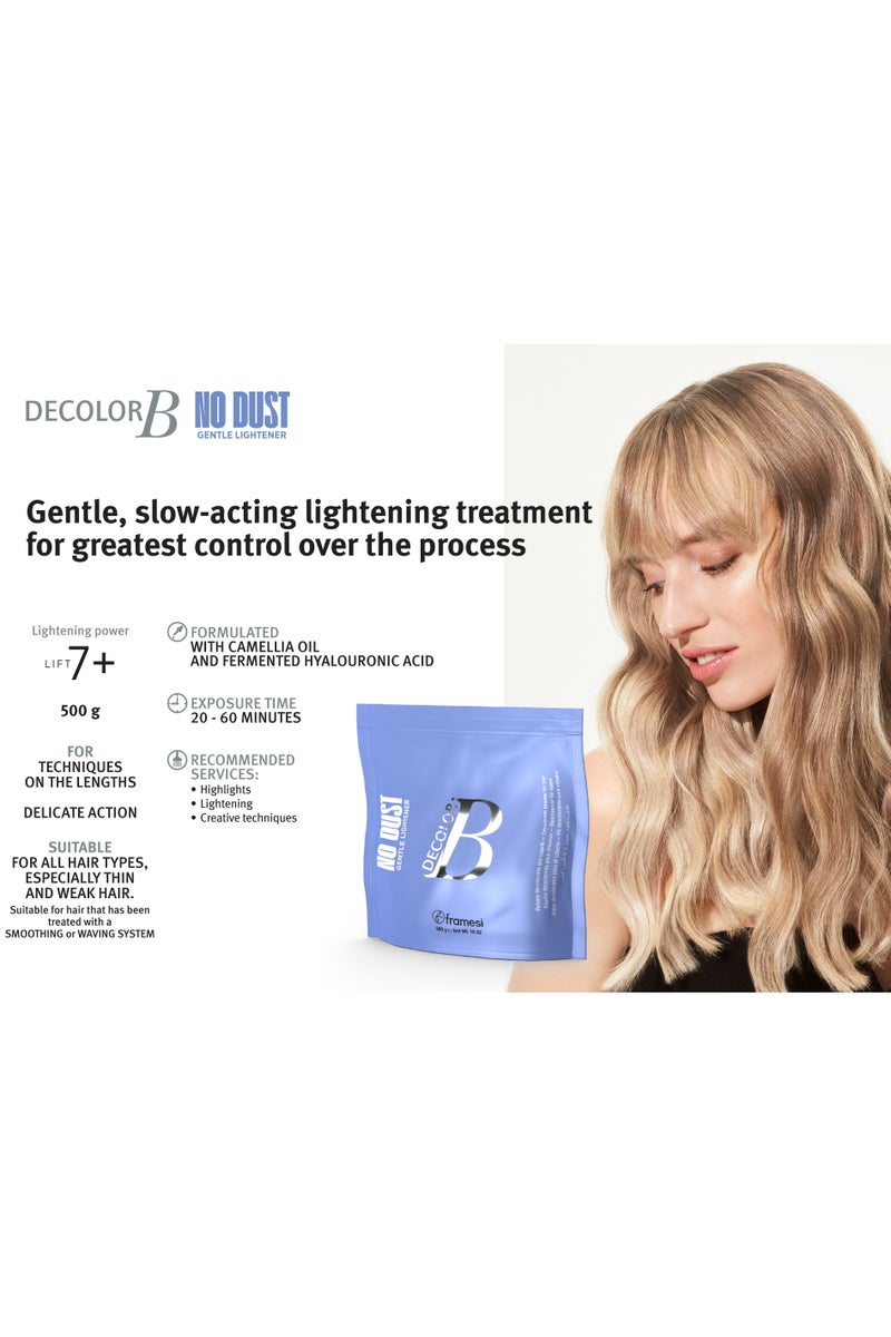 framesi ديكلور B مبيض لطيف - بدون غبار | مسحوق مبيض للشعر 500 جرام - Image 2