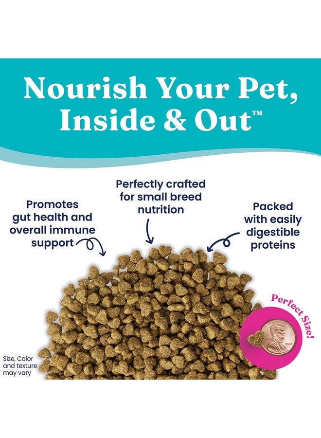 Solid Gold Dry Dog Food Small Breeds - Made with Real Beef - Grain & Gluten Free Small Breed Dog Food - 4 LB Bag - Image 3