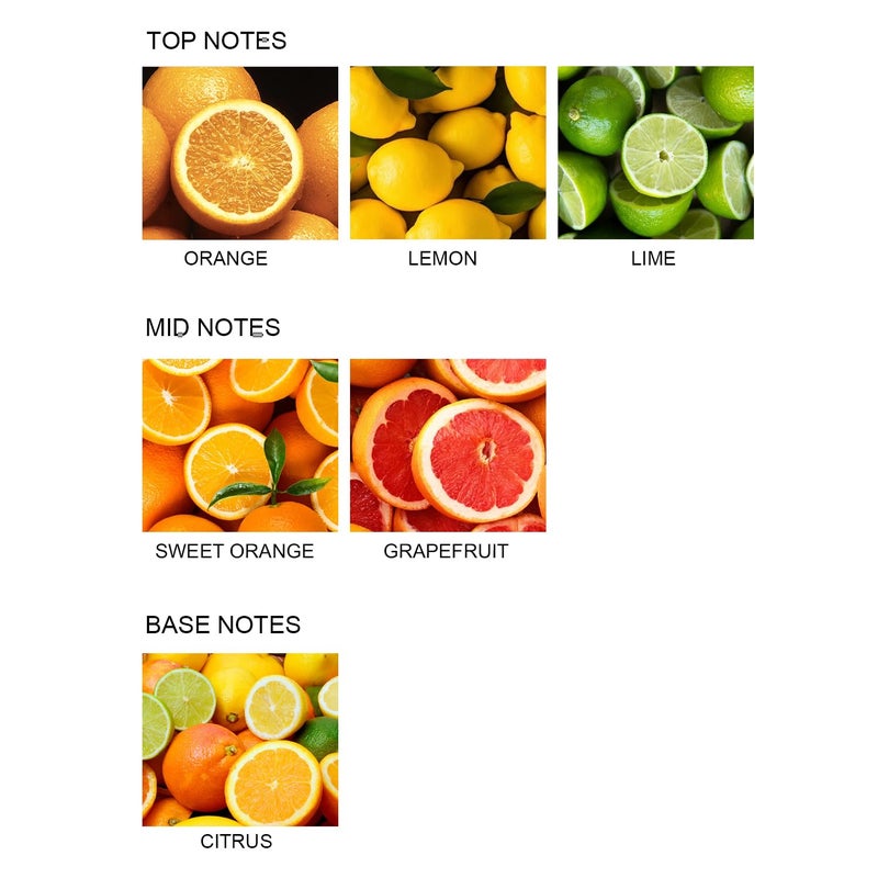 UCC Reed Diffuser Set  3.38 oz Pure Orange Premium Scented Diffuser with Flower Sticks Home Fragrance Reed Diffuser for Bathroom Shelf Decor - Image 3