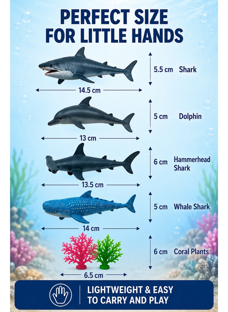 Sea Animal Figure Set for Kids – 6PCS Plastic Ocean Animal Toys with Shark, Dolphin, Hammerhead Shark, Whale Shark and Coral Plants, Educational Marine Life Pretend Play Toy for Children 3+ Years - Image 3