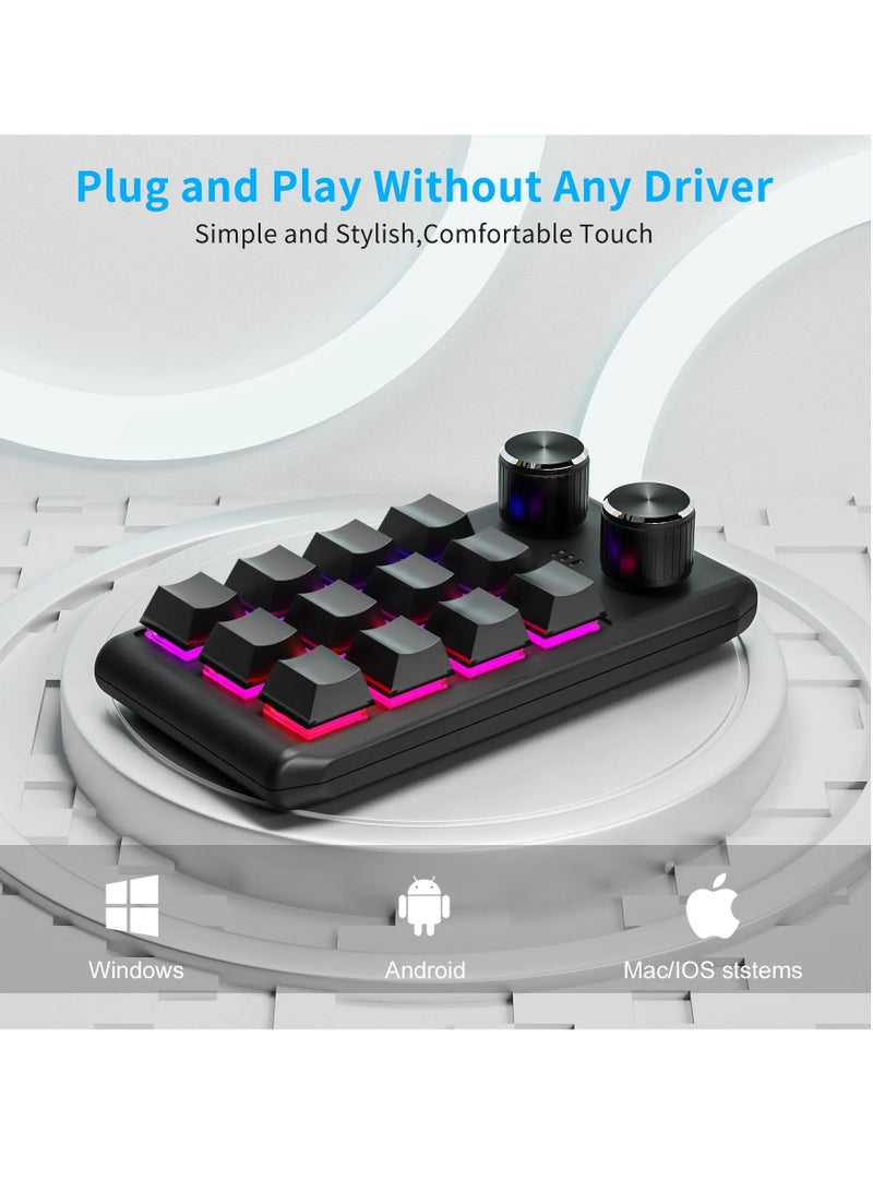 Programming Macro Custom 2 Knob Bluetooth Keyboard RGB 12 Key Copy Paste Mini Button Gaming Keypad Mechanical Hotswap Macropad