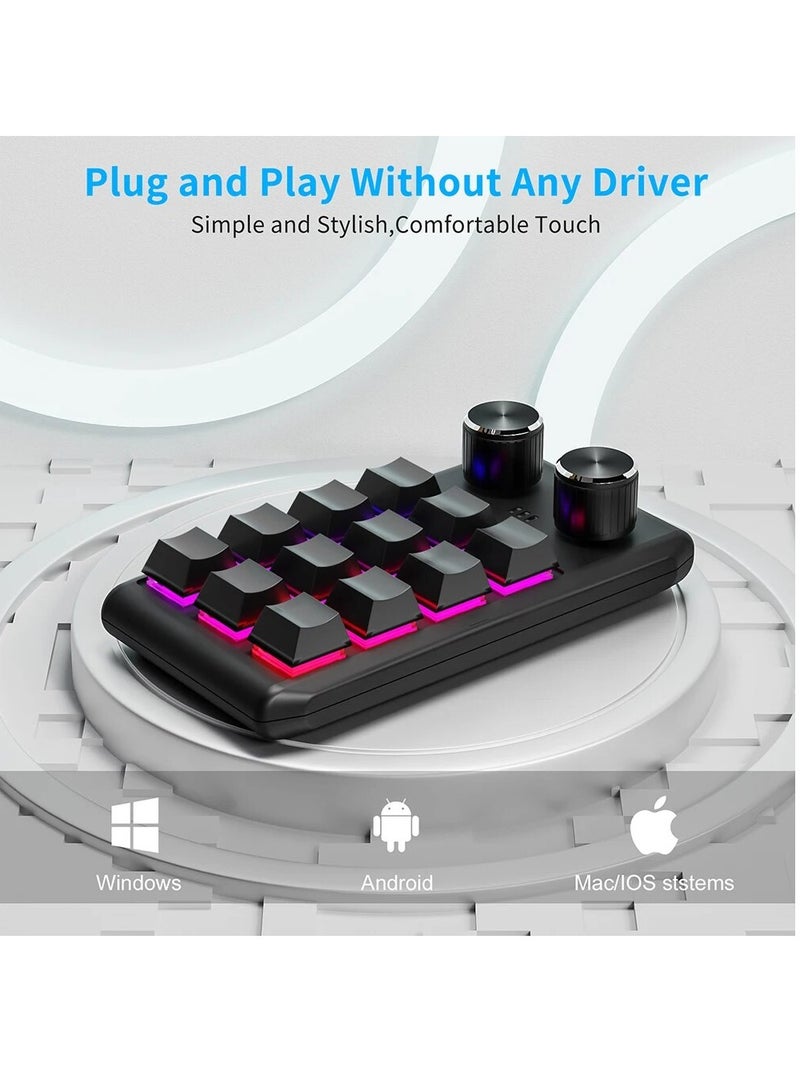 Programming Macro Custom 2 Knob Bluetooth Keyboard RGB 12 Key Copy Paste Mini Button Gaming Keypad Mechanical Hotswap Macropad