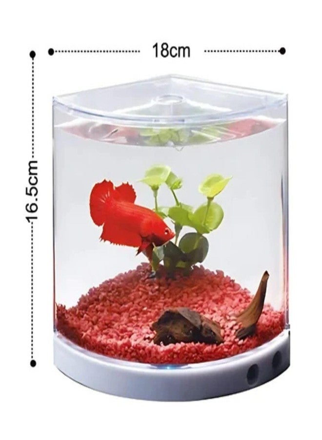 TUNAI Dophin T201 Mini Aquarium Fish Tank | Changeable Light | Elegant and Stylish Design | Ideal for Betta, Small Fish and Plant Keeping |Capacity - 1.4L Fish Tank (Original from Store) - Image 2