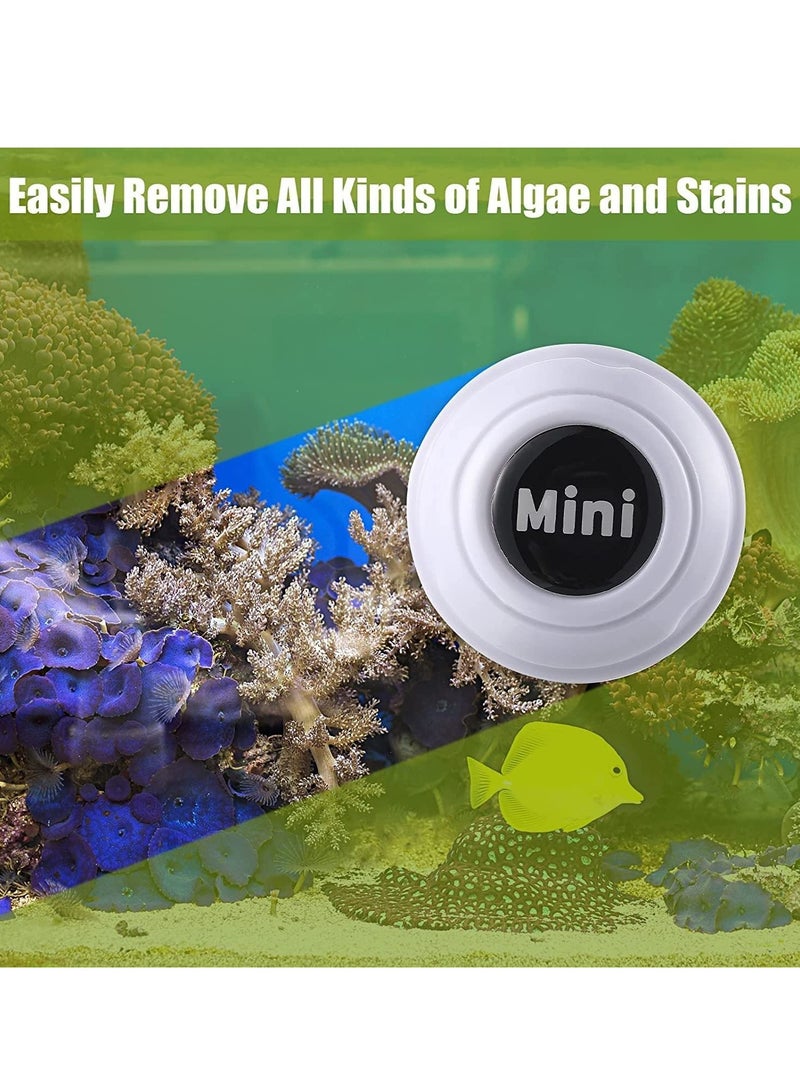 SYOSI 2 Pieces Mini Aquarium Glass Cleaner Magnetic Algae Scraper Magnetic Glass Cleaner No Scratch Magnet Fish Tank Glass Cleaner Magnetic Brush for Small Fish Tank Glass and Acrylic Aquarium  - Image 3