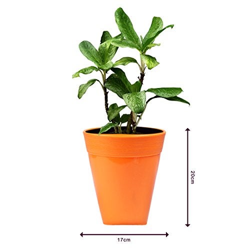 Sharpex Idel Dante Plastic 17 Series Ceramic Style Live Solid Color Flower Pot for Home Use (Orange, Regular) - Image 2
