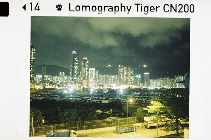 Lomography Tiger Color 200 ISO 110 Film - Image 2