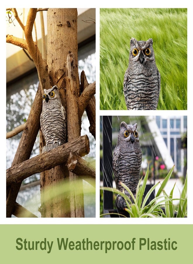 OFFO Natural Bird Scare Devices Plastic Owl Scarecrow for Outdoor Garden, Yard, Pool Decoration, Brown - Image 3