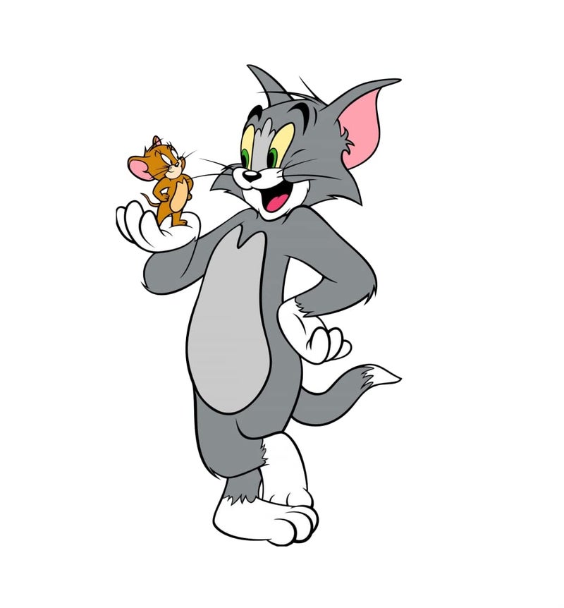 Decals Creation Smily Big Tom Small Jerry Funny Wall Sticker for BedroomLiving Room OffceKids Multicolor Size 40 Cm X 58 Cm