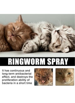 30ml Cat Anti-Fungus Treatments Spray Control and Help Pets Skin Ringworm Itch Relief Calming Spray for Dog Cat Small Animals - pzsku/Z9042BBFAA98AA6240B17Z/45/_/1700537195/eef63e01-dad9-48b6-af30-a823773ae685