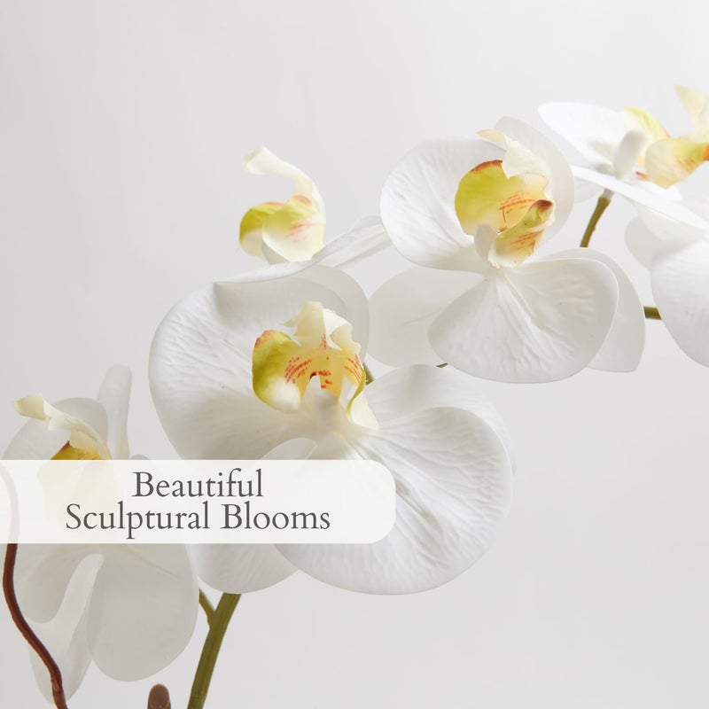 CG Hunter Faux White Orchid Plant, Premium Artificial Indoor Flower Display Stands 25-Inches with Beautiful Sculptural Blooms and Foliage That Lasts Forever, Grey Planter Pot Included - Image 3