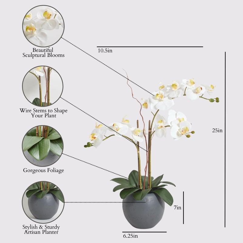 CG Hunter Faux White Orchid Plant, Premium Artificial Indoor Flower Display Stands 25-Inches with Beautiful Sculptural Blooms and Foliage That Lasts Forever, Grey Planter Pot Included - Image 2