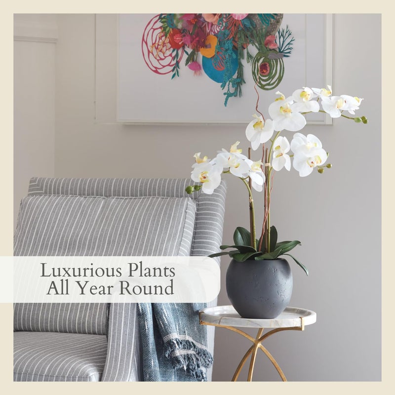 CG Hunter Faux White Orchid Plant, Premium Artificial Indoor Flower Display Stands 25-Inches with Beautiful Sculptural Blooms and Foliage That Lasts Forever, Grey Planter Pot Included - Image 5