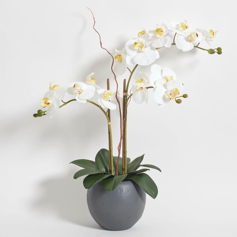 CG Hunter Faux White Orchid Plant, Premium Artificial Indoor Flower Display Stands 25-Inches with Beautiful Sculptural Blooms and Foliage That Lasts Forever, Grey Planter Pot Included - Image 1