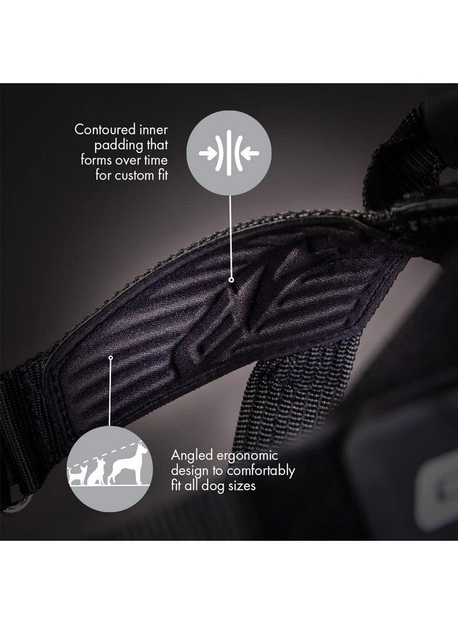 إيزي دوج حزام كلاب EzyDog Express - حزام كلاب قابل للتعديل للكلاب الكبيرة والمتوسطة والصغيرة بتصميم مريح مبطن ومضاد للاحتكاك، ومقبض للإمساك، وإبزيم جانبي سهل (مقاس XS، أرجواني) - Image 4