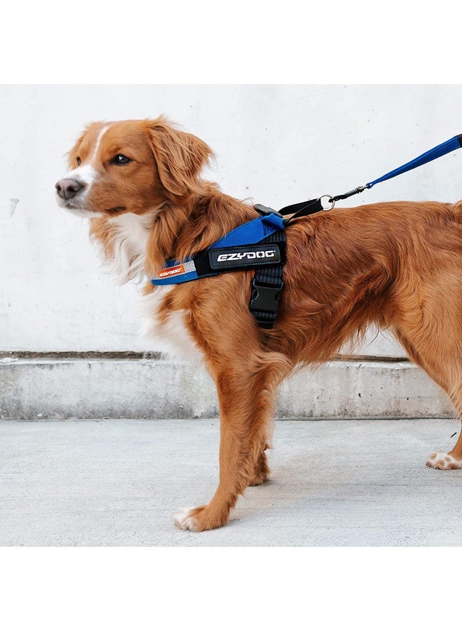 إيزي دوج حزام كلاب EzyDog Express - حزام كلاب قابل للتعديل للكلاب الكبيرة والمتوسطة والصغيرة بتصميم مريح مبطن ومضاد للاحتكاك، ومقبض للإمساك، وإبزيم جانبي سهل (مقاس XS، أرجواني) - Image 2